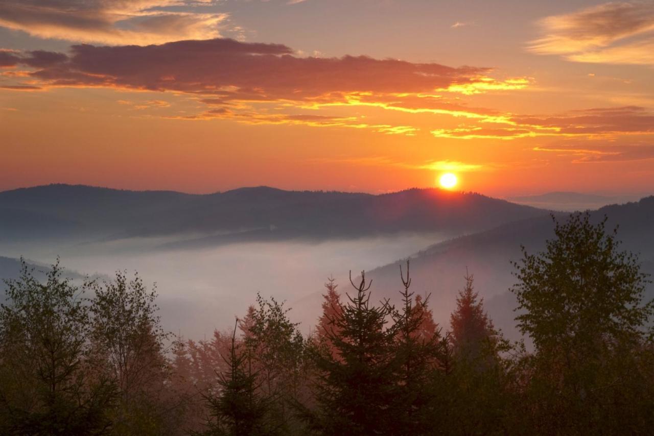 Noclegi Daglezja Pod Gora Zar Miedzybrodzie Zywieckie Exterior foto